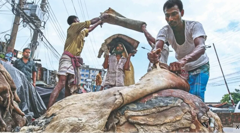 পরীক্ষার হলে বসে বন্ধুকে প্রশ্ন পাঠালেন পরীক্ষার্থী