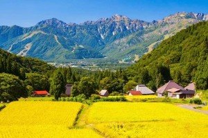 গরমে বেড়েছে রোগীর সংখ্যা, হাসপাতালে স্যালাইন সংকট